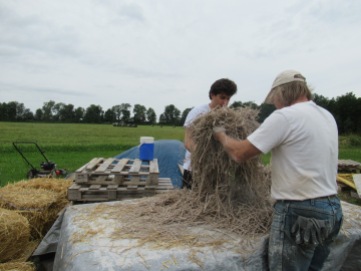 Evan and Jonathan coating straw with the clay slip